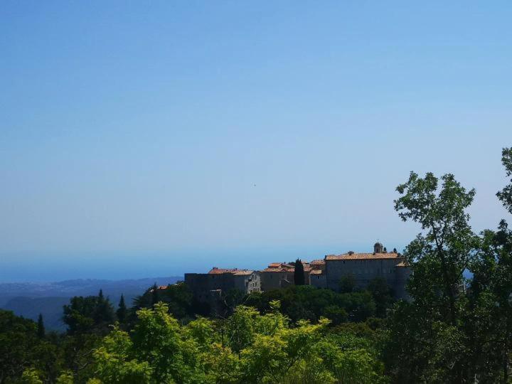 Le Cabanon De Gourdon Bergerie Renove En Pierre Vue Mer B&B 외부 사진