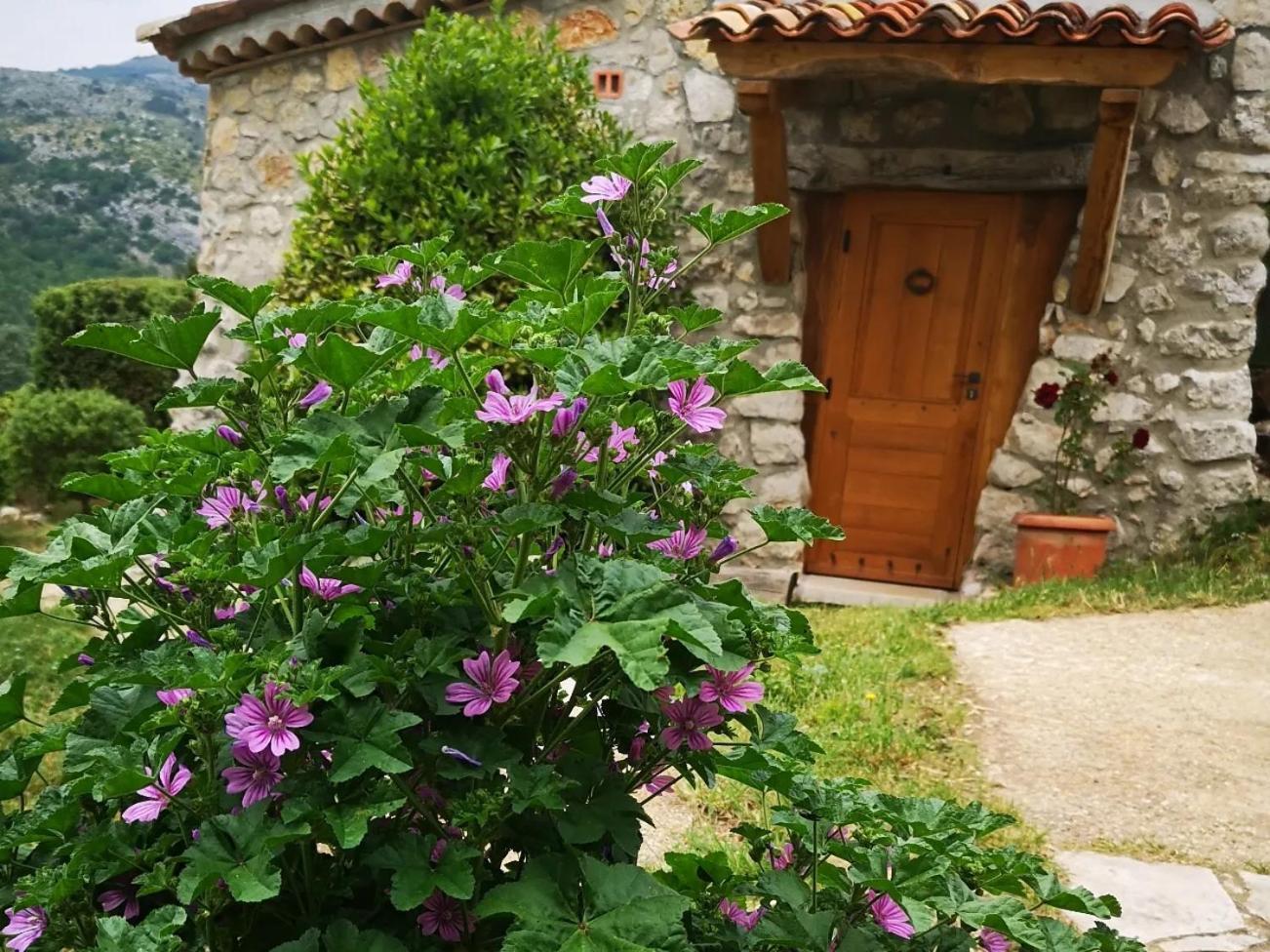 Le Cabanon De Gourdon Bergerie Renove En Pierre Vue Mer B&B 외부 사진